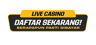 Daftar APIN4D